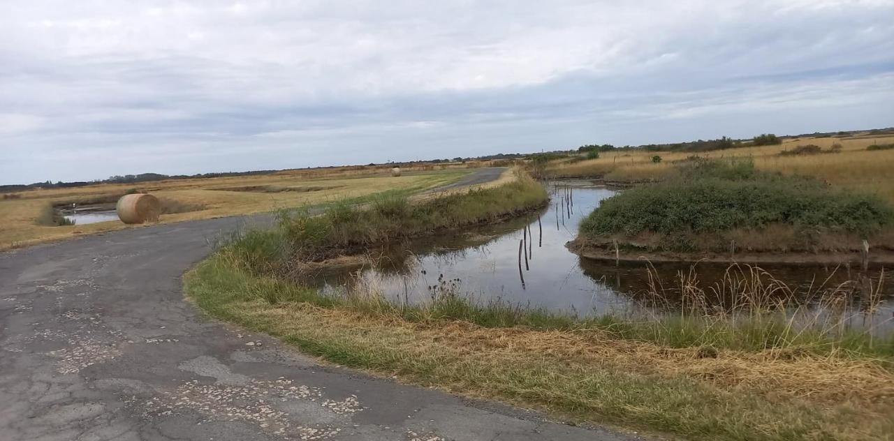En Plein Coeur De L'ile D'oleron, Parentale.